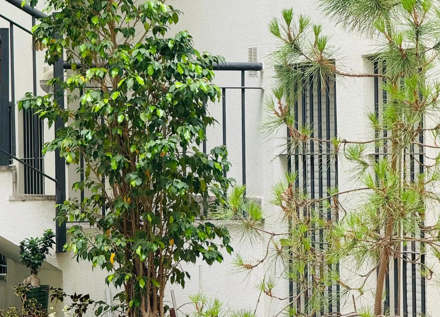 דירה קדיז Bonito Apartamento Junto Al Gran Teatro Falla